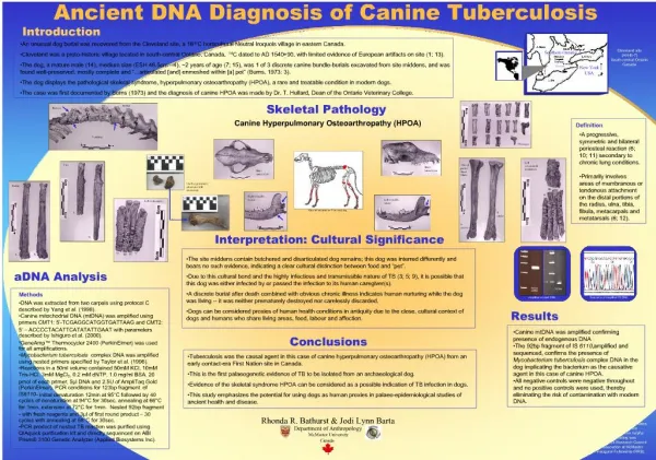 Ancient DNA Diagnosis of Canine Tuberculosis