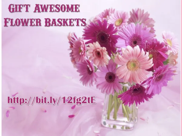 Buy Fresh Flowers From sendflowersandmore.com