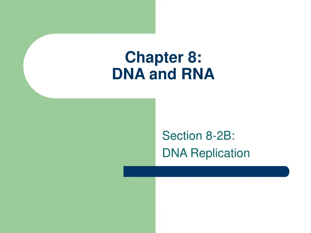 chapter 8 dna and rna