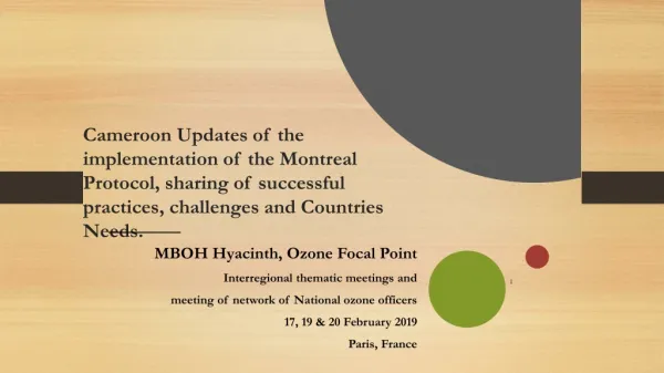 MBOH Hyacinth, Ozone Focal Point Interregional thematic meetings and