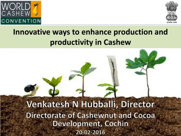 Innovative ways to enhance production and productivity in Cashew