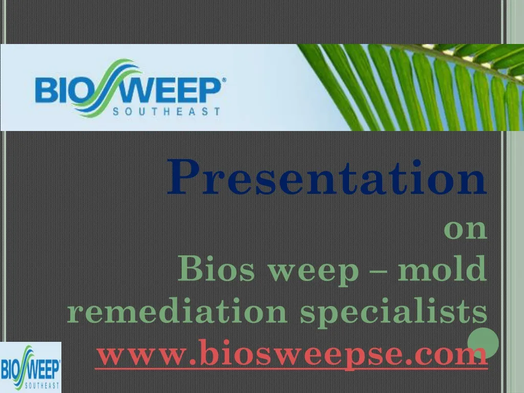 presentation on bios weep mold remediation
