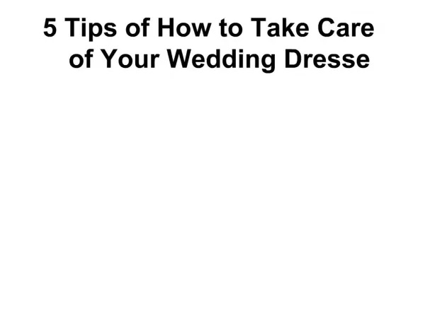 Column Lace Wedding Dress bastuscheck.com