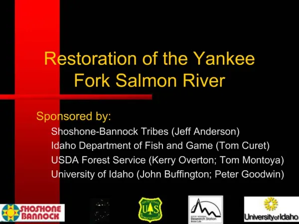 Restoration of the Yankee Fork Salmon River