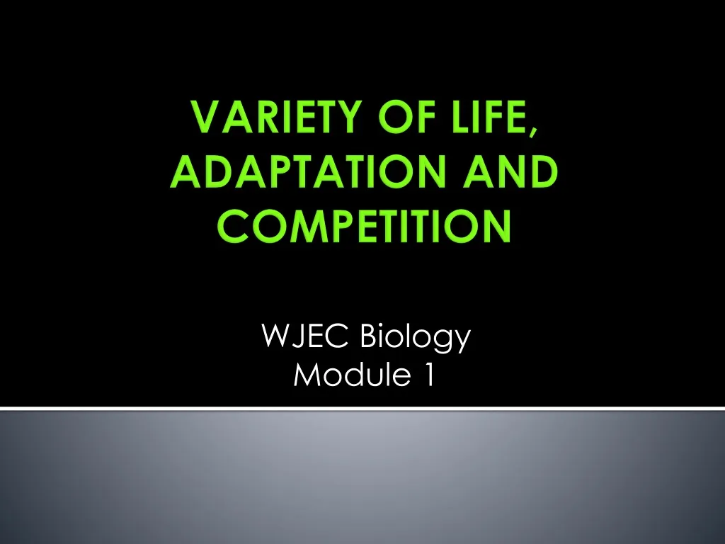 variety of life adaptation and competition
