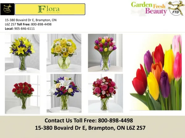Brampton Florist - Flowers Brampton, ON,|Flora All Occasions