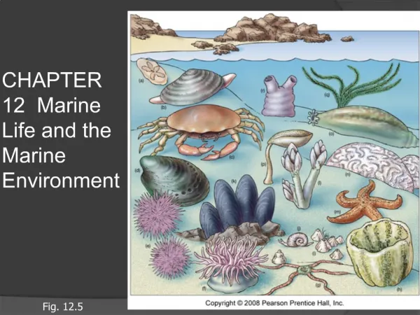 CHAPTER 12 Marine Life and the Marine Environment