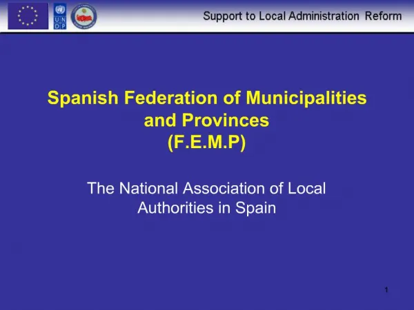 Spanish Federation of Municipalities and Provinces F.E.M.P