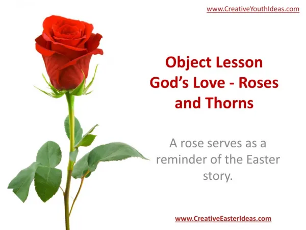 Object Lesson God’s Love - Roses and Thorns