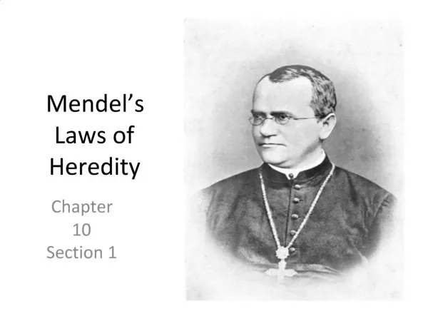 Mendel s Laws of Heredity