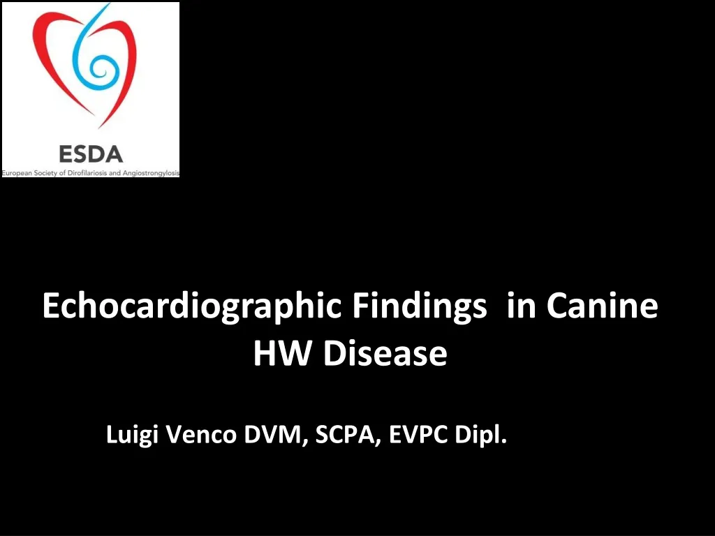 echocardiographic findings in canine hw disease
