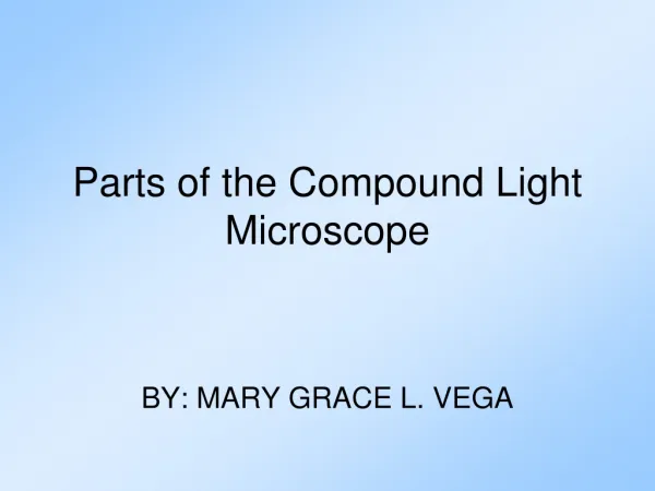 Parts of the Compound Light Microscope