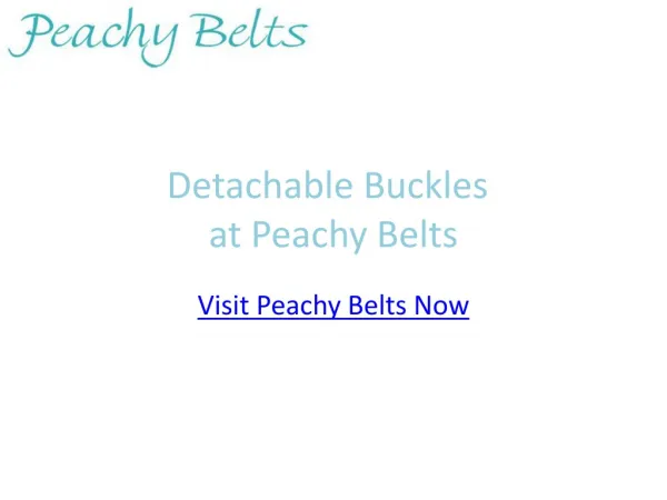 Belts with Detachable Buckles at Peachy Belts