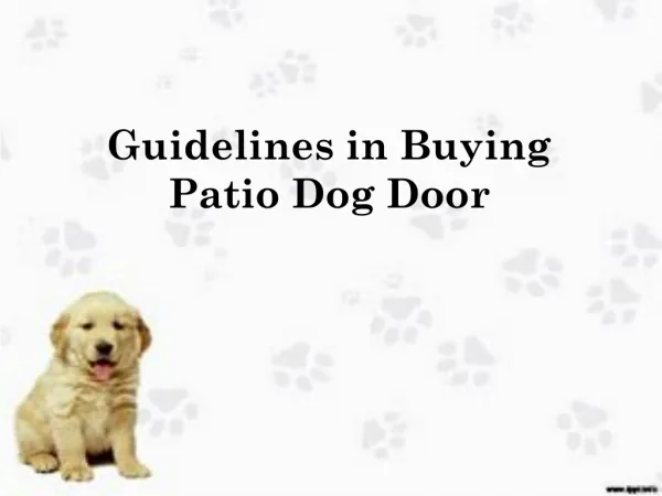 Guidelines in Buying Patio Dog Door