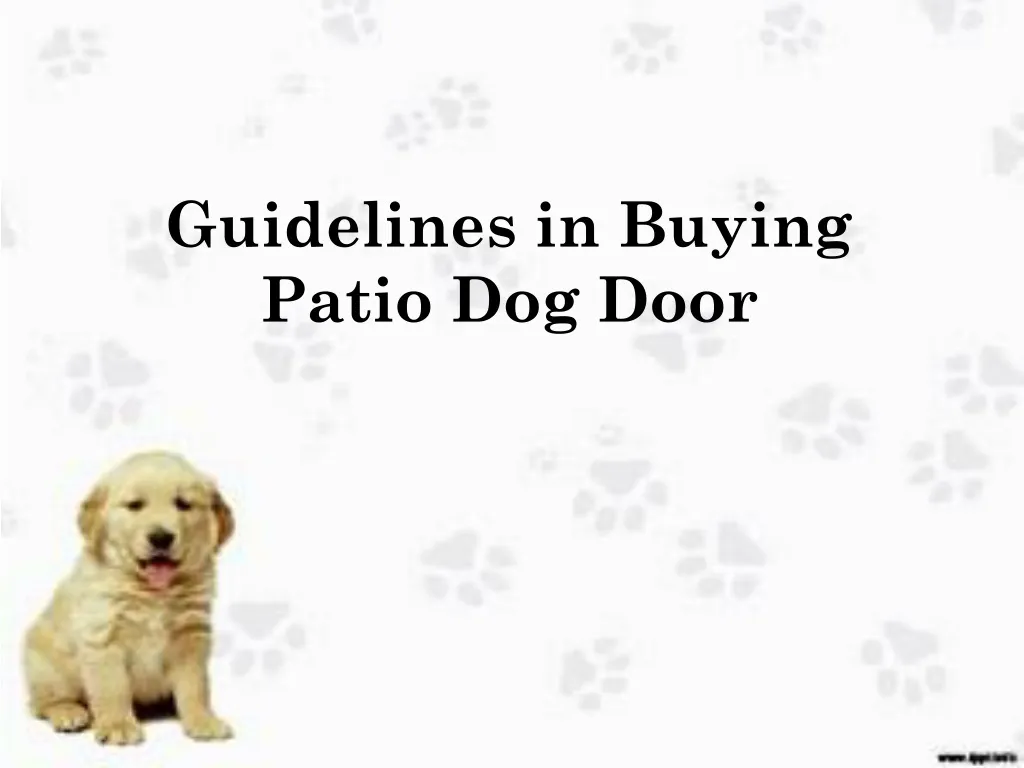 guidelines in buying patio dog door