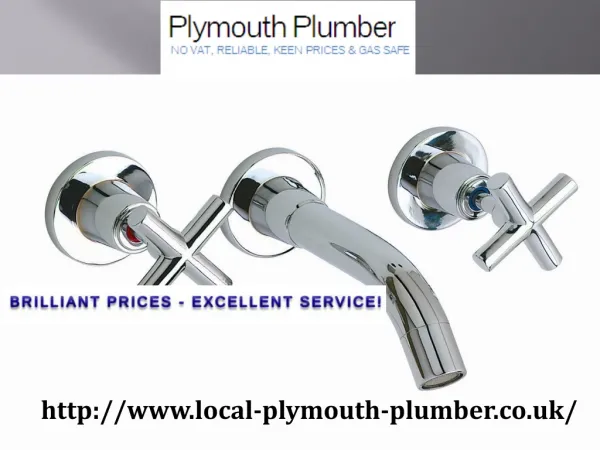 Profetional plumbing and heating service in the Plymouth area
