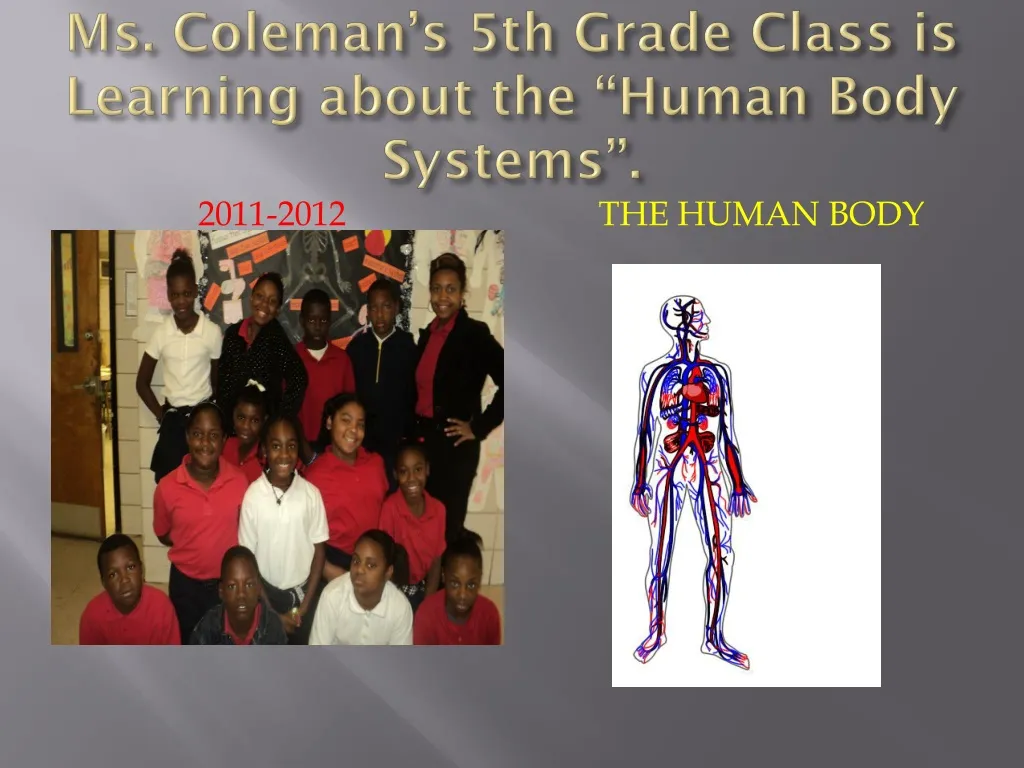 ms coleman s 5th grade class is learning about the human body systems