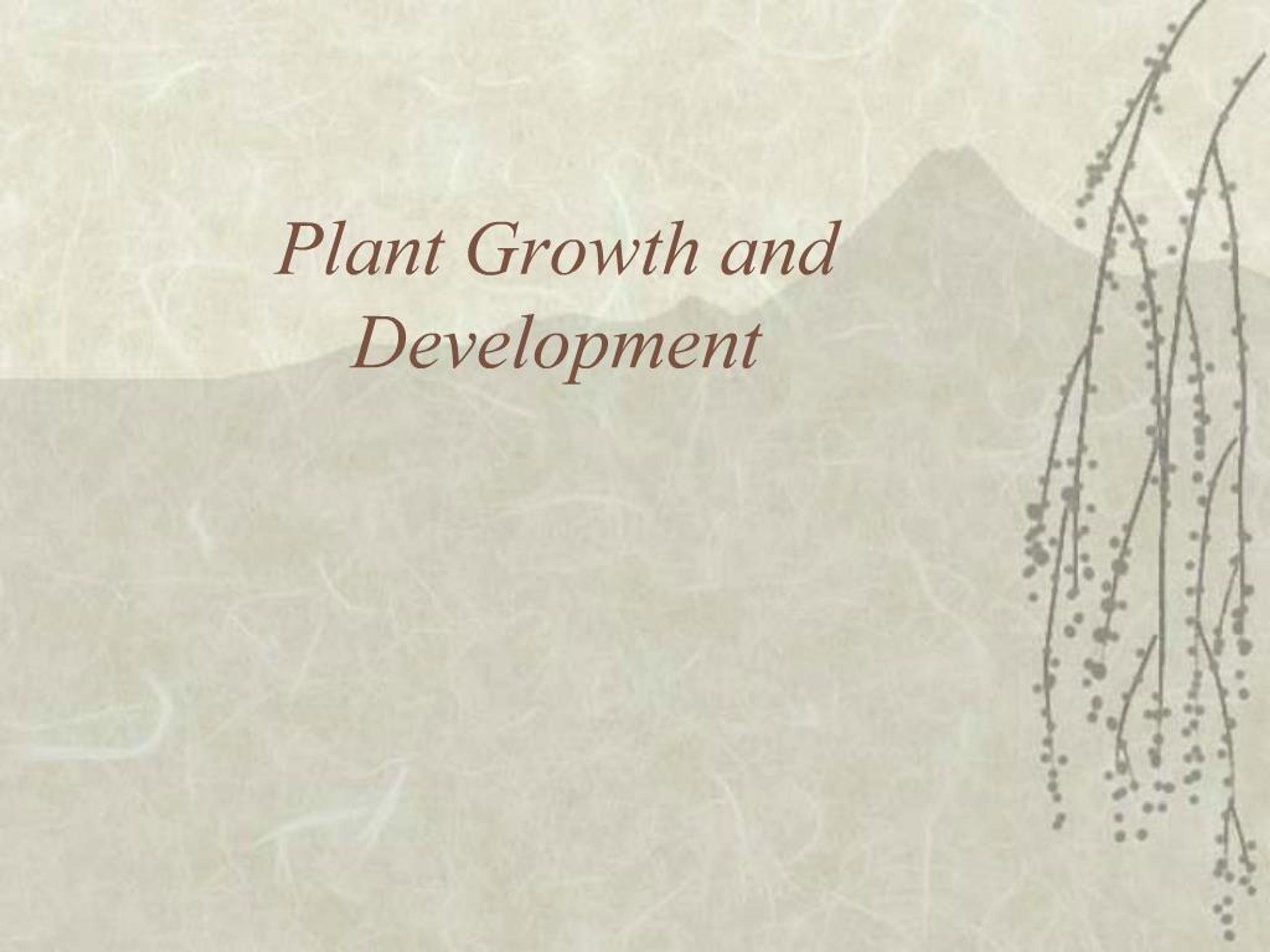 PPT - Plant Growth and Development PowerPoint Presentation, free ...