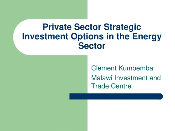 Private Sector Strategic Investment Options in the Energy Sector