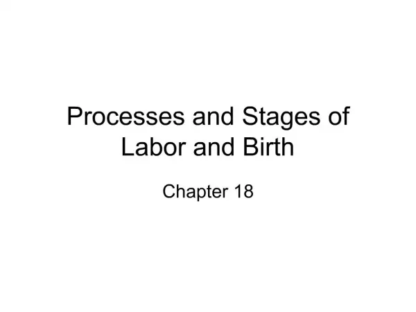 Processes and Stages of Labor and Birth