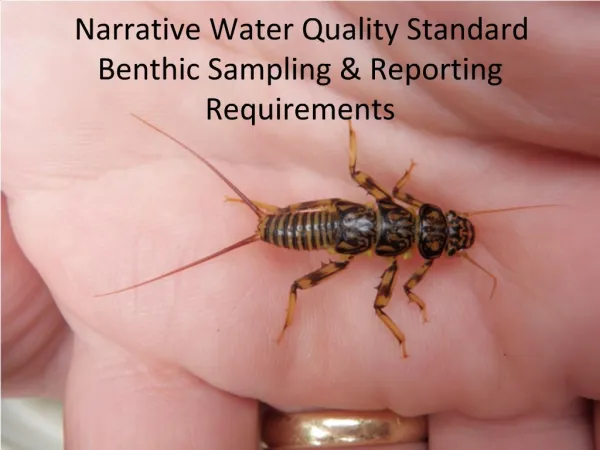 Narrative Water Quality Standard Benthic Sampling Reporting Requirements