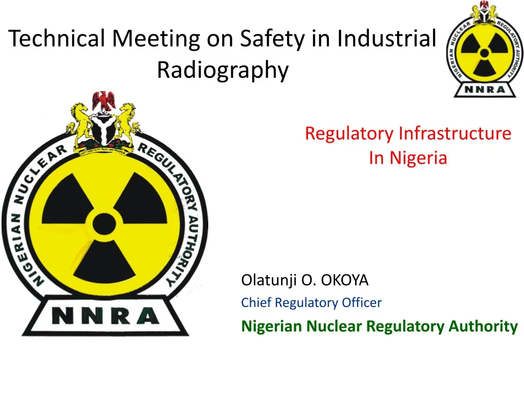 technical meeting on safety in industrial radiography