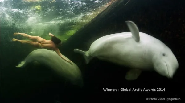 Winners : Global Arctic Awards 2014
