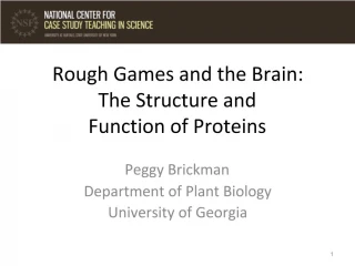 Rough Games and the Brain: The Structure and Function of Proteins - slide 1