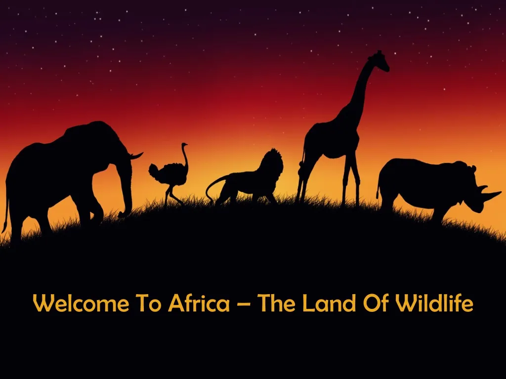 welcome to africa the land of wildlife