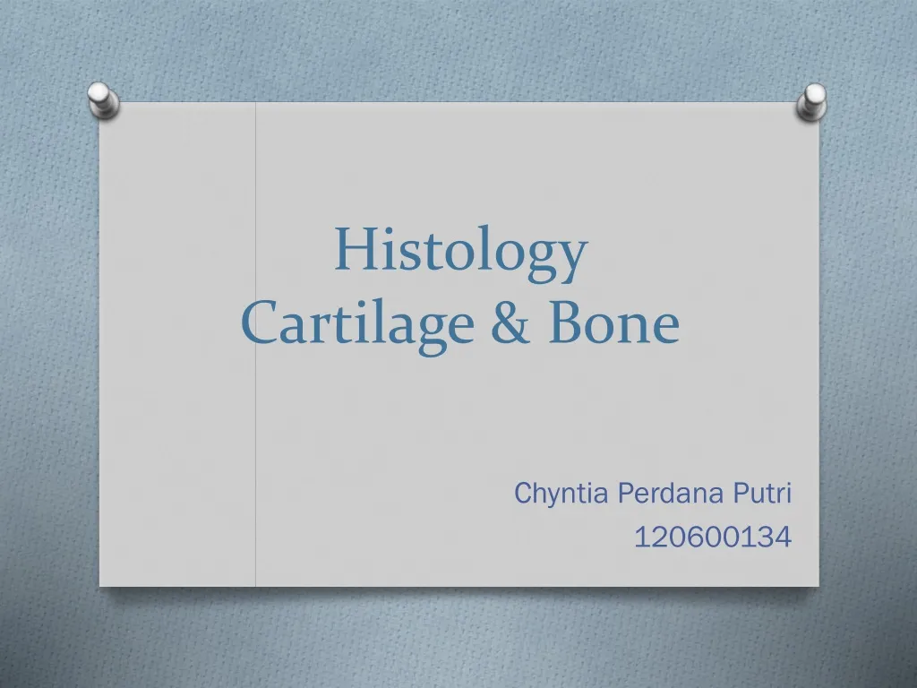 histology cartilage bone