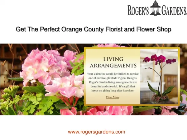 Get The Perfect Orange County Florist and Flower Shop