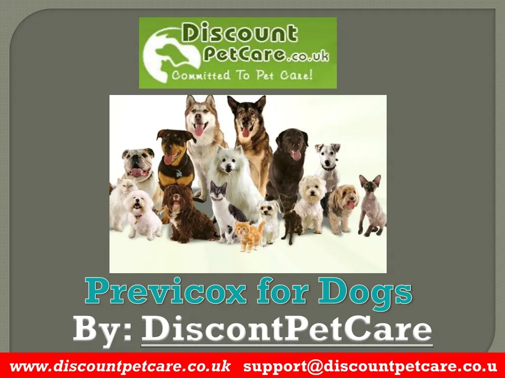 previcox for dogs