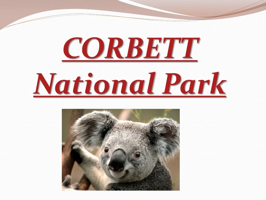corbett national park