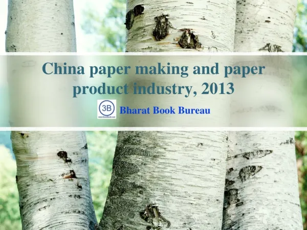 China paper making and paper product industry, 2013