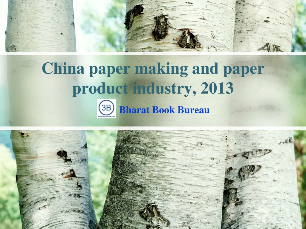 china paper making and paper product industry 2013