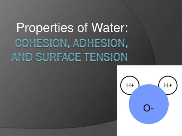 Cohesion, Adhesion, and Surface Tension