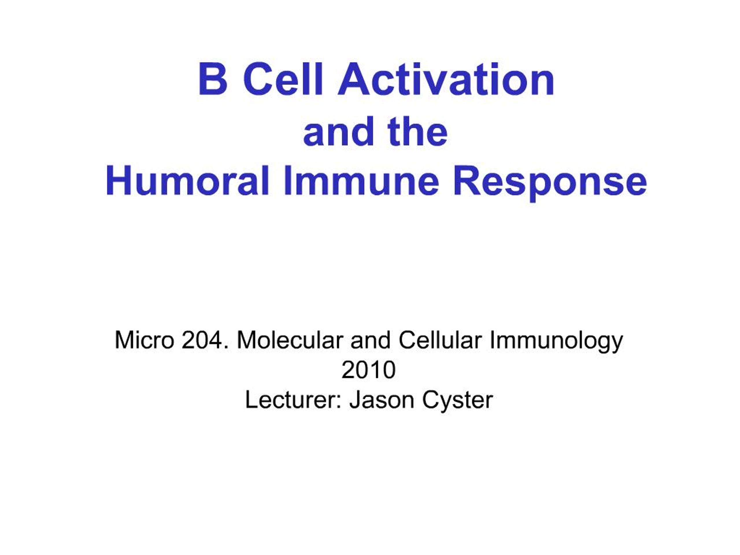 PPT - B Cell Activation and the Humoral Immune Response PowerPoint ...