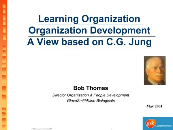 Learning Organization Organization Development A View based on C.G. Jung