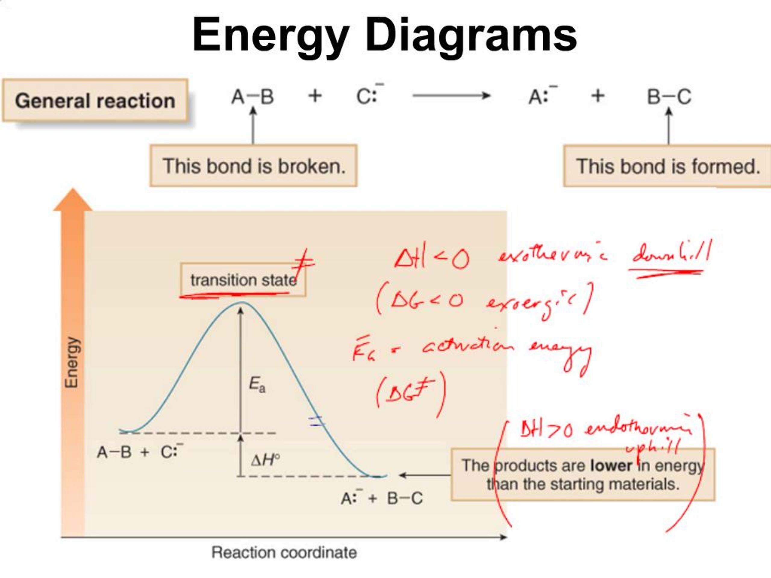 PPT - Energy Diagrams PowerPoint Presentation, free download - ID:1184047