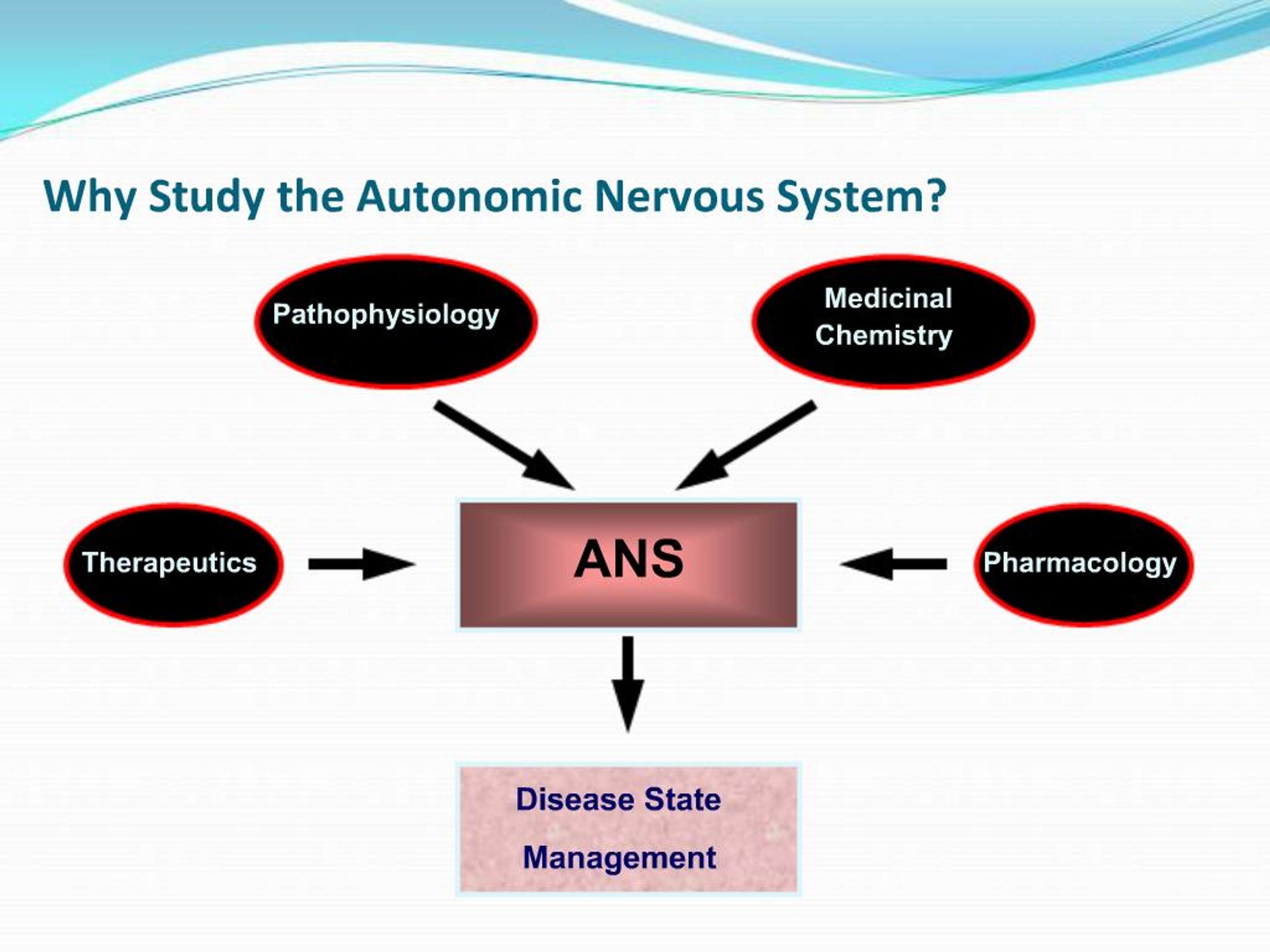 PPT - Autonomic Nervous System Organization PowerPoint Presentation ...