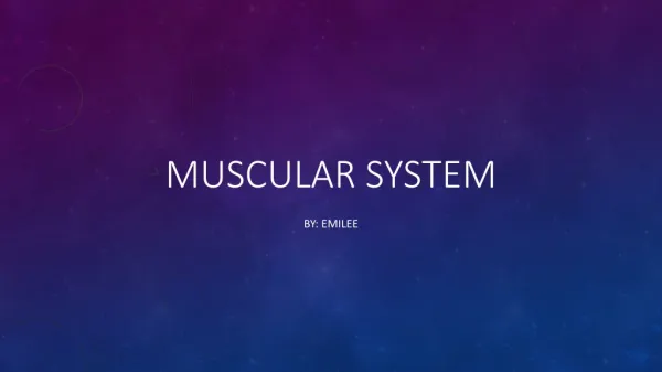 Muscular system