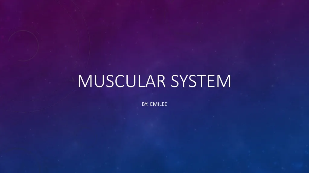 muscular system