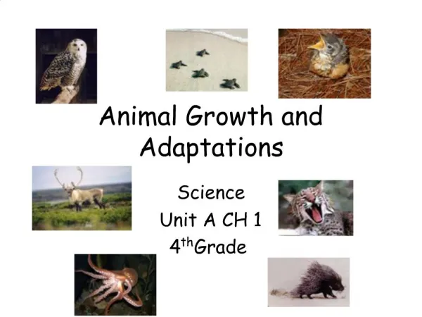Animal Growth and Adaptations