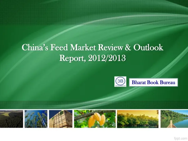 China’s Feed Market Review & Outlook Report, 2012/2013