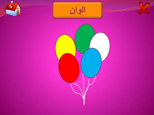 mufrodat2