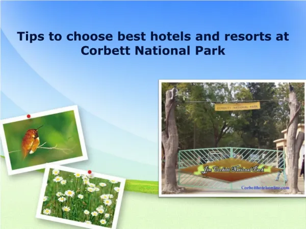 Tips to choose best hotels Corbett National Park