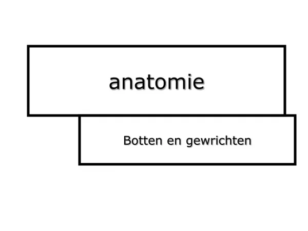 anatomy botten