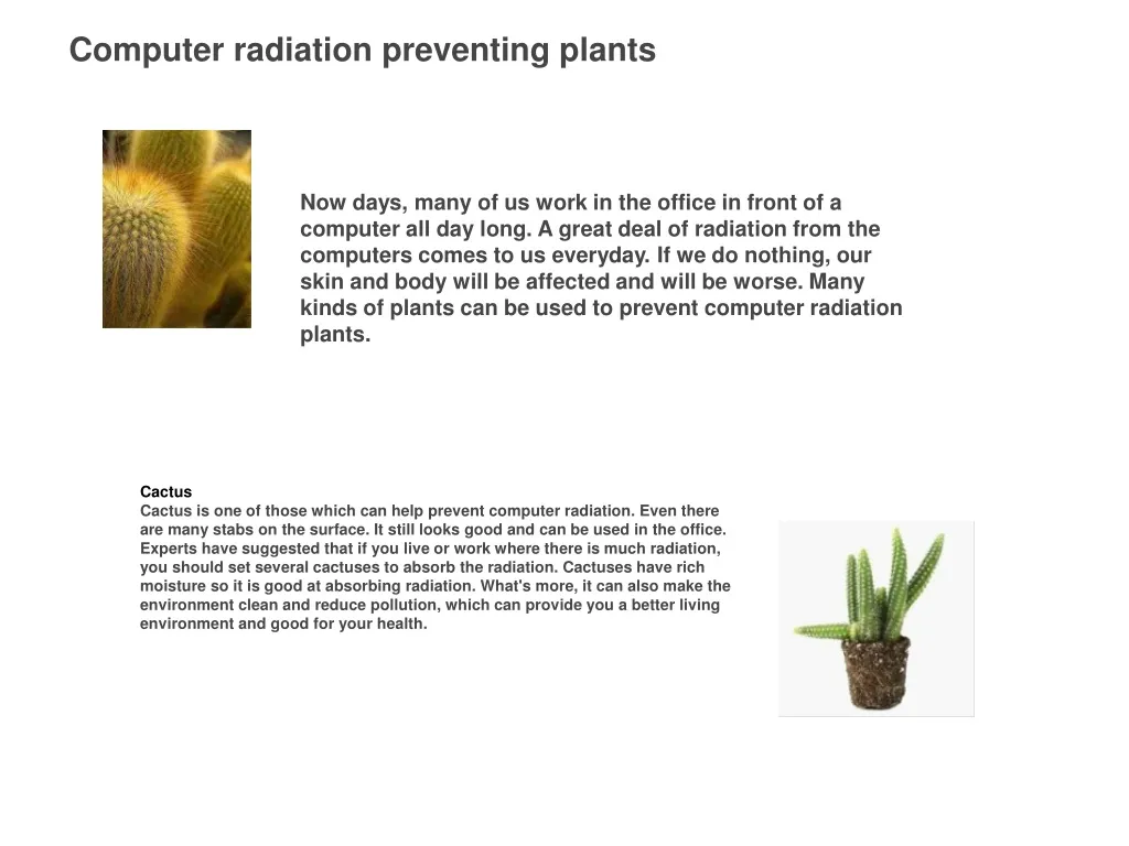 computer radiation preventing plants