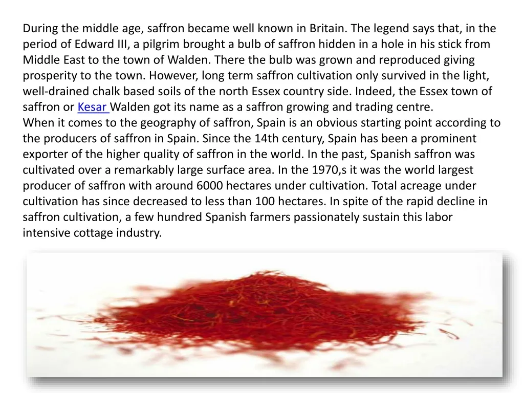 during the middle age saffron became well known