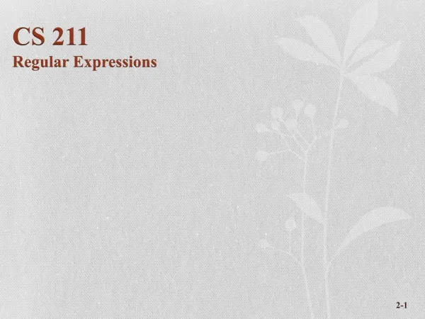 CS 211 Regular Expressions